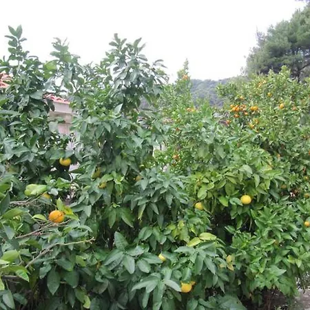 Appartement In With Sea View, Balcony, Air Conditioning, Wifi 5197-3