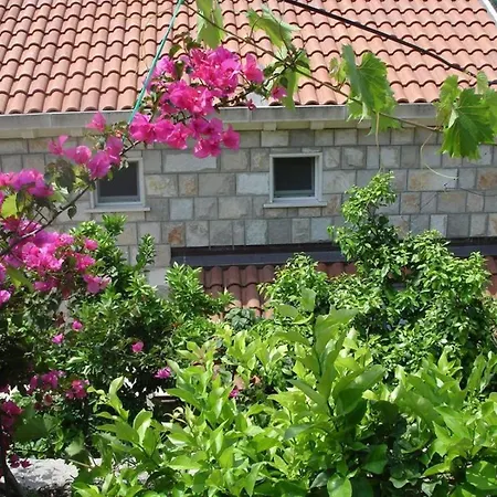 In With Sea View, Balcony, Air Conditioning, Wifi 5197-3 Appartamento