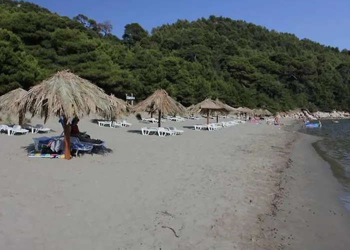 In With Sea View, Balcony, Air Conditioning, Wifi 5197-3 Апартаменты *