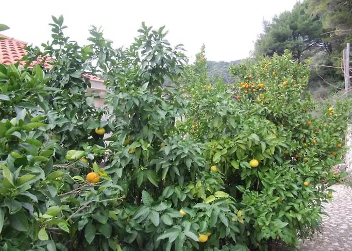 Апартаменты In With Sea View, Balcony, Air Conditioning, Wifi 5197-3